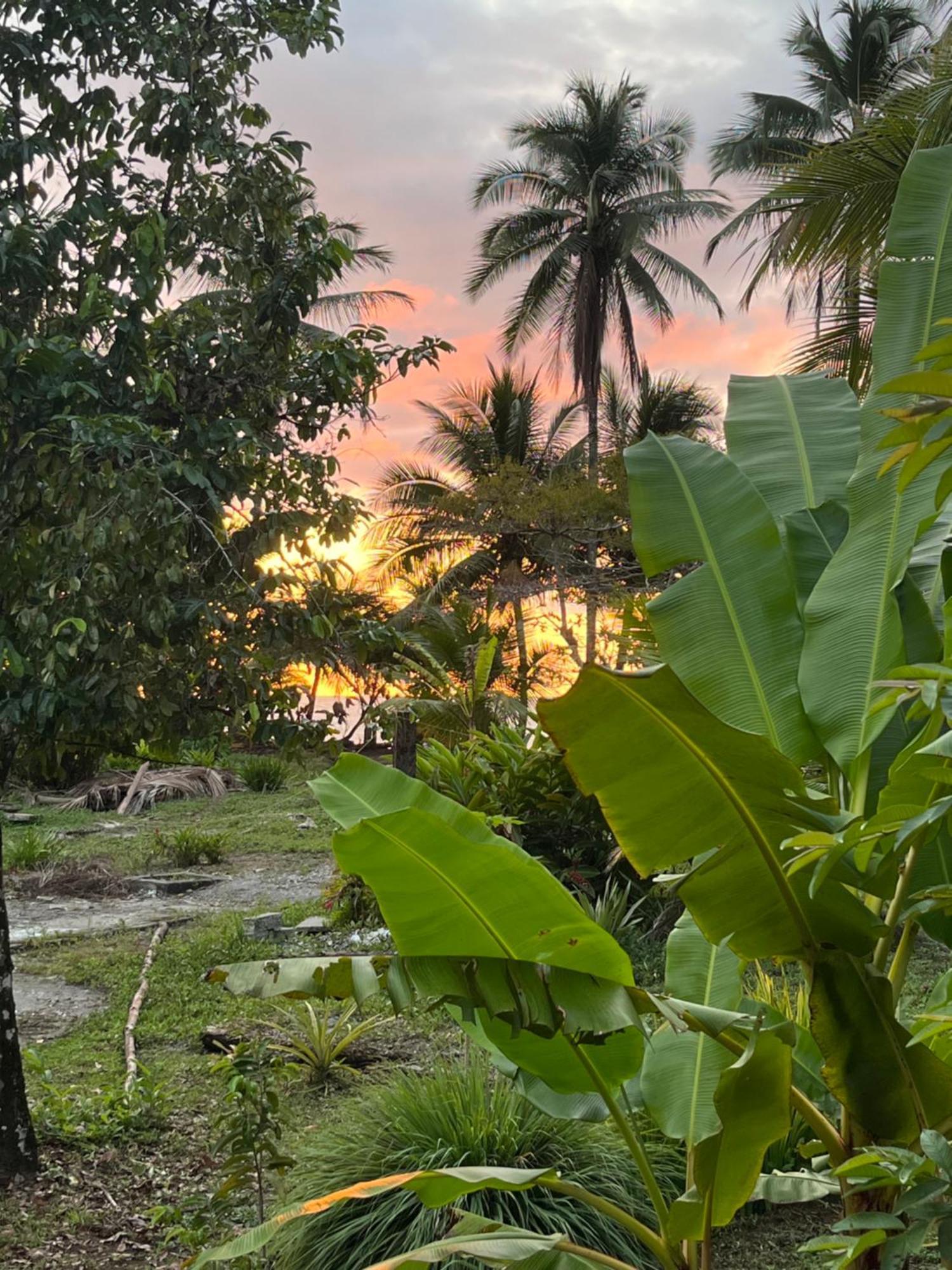 Popochos Beach Eco Lodge Nuquí エクステリア 写真