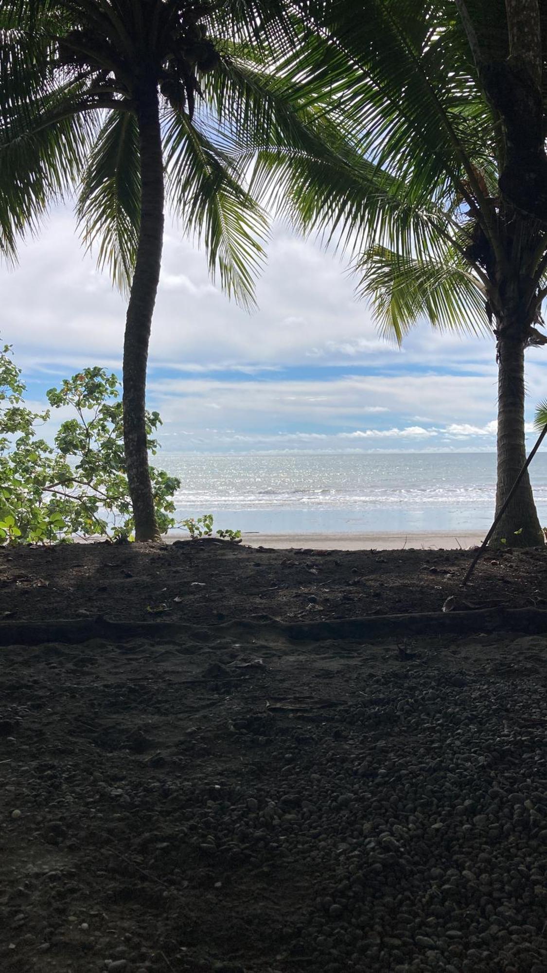 Popochos Beach Eco Lodge Nuquí エクステリア 写真