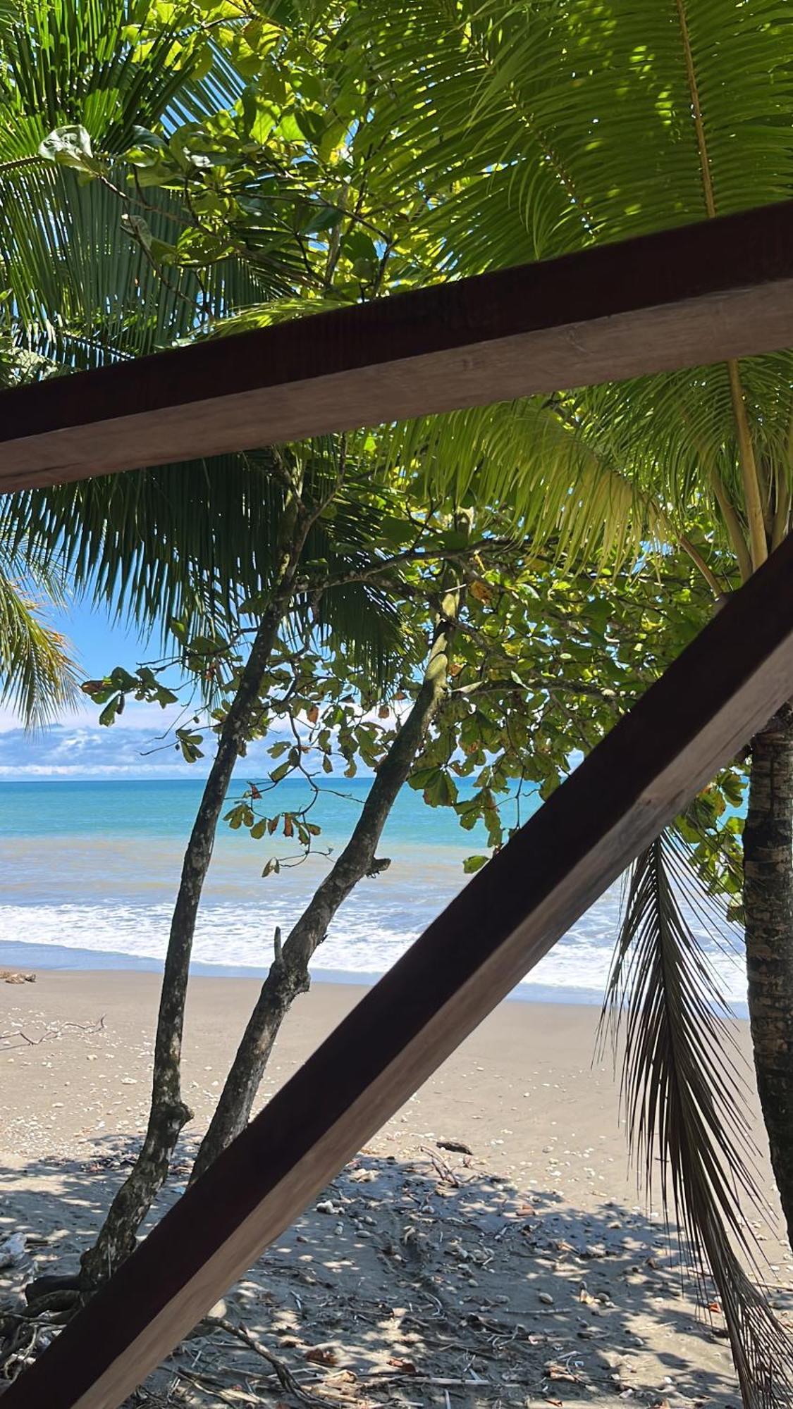 Popochos Beach Eco Lodge Nuquí エクステリア 写真