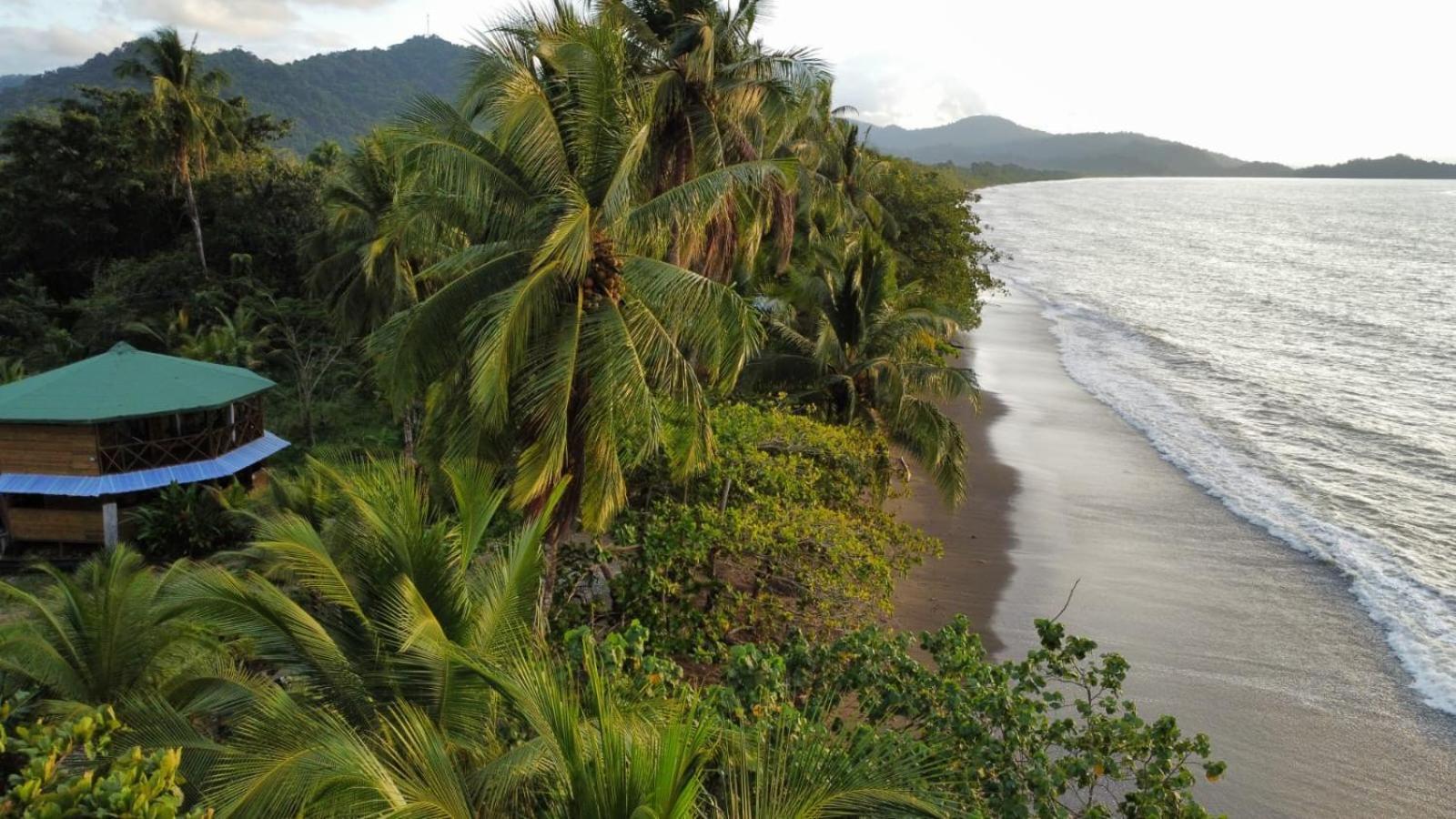 Popochos Beach Eco Lodge Nuquí エクステリア 写真